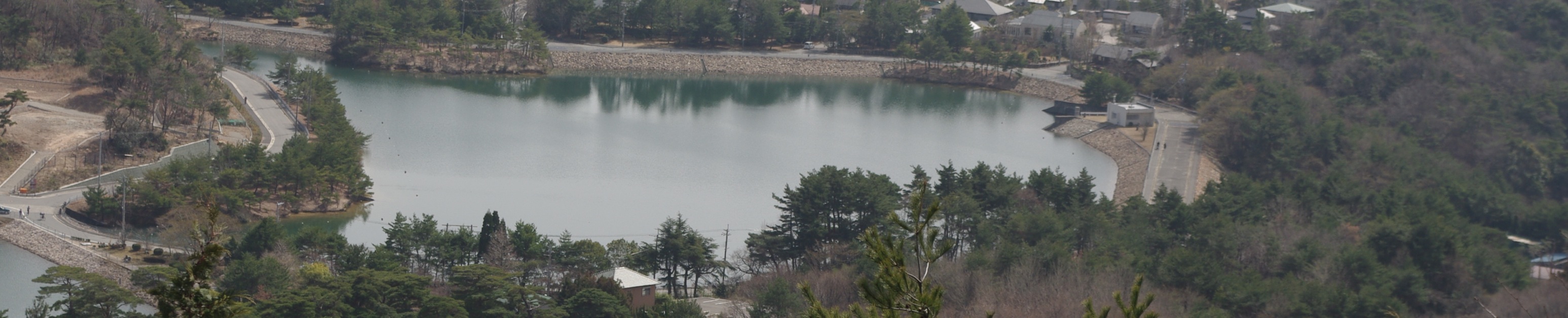 f0201222_212895.jpg