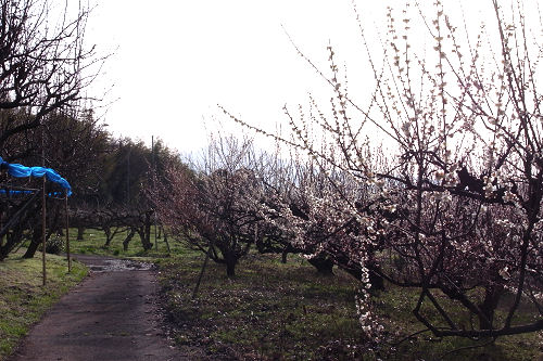 f0007926_1439499.jpg