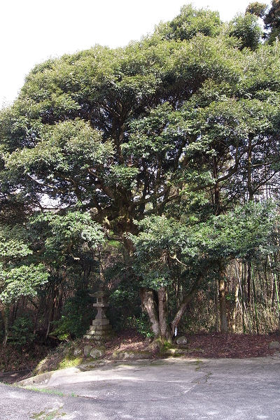 f0007926_14563215.jpg