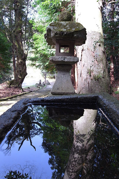 f0007926_1456331.jpg