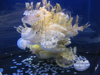 a0127828_21407100.jpg