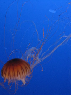 a0127828_21481110.jpg