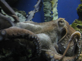 a0127828_2157270.jpg