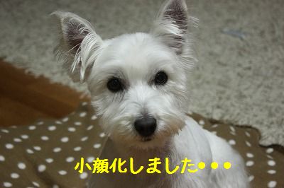 e0181928_20124164.jpg