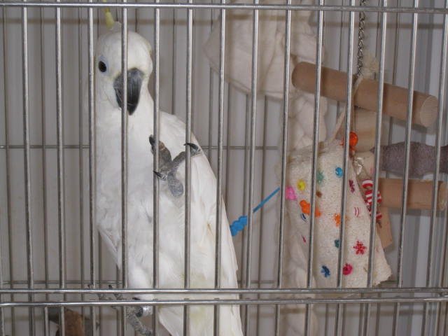 e0107730_2343852.jpg