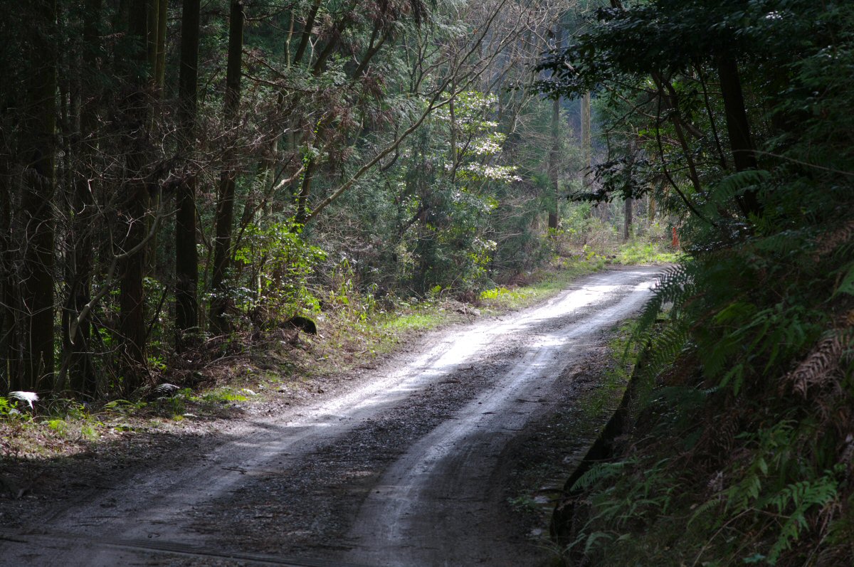 d0032931_2091460.jpg