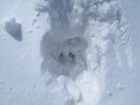 f0118332_21181938.jpg