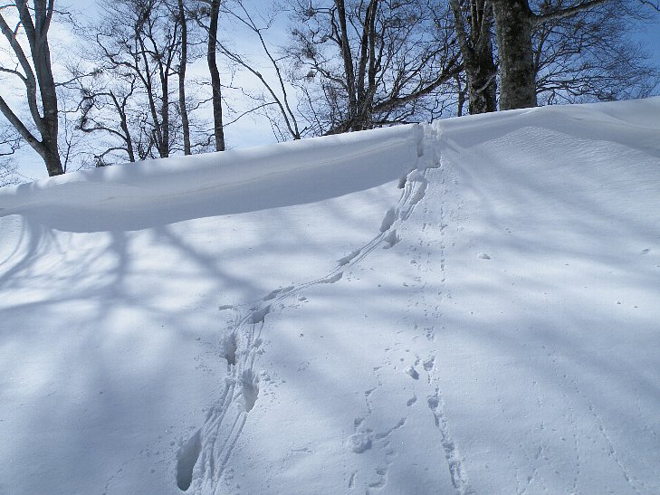 f0118332_2118690.jpg
