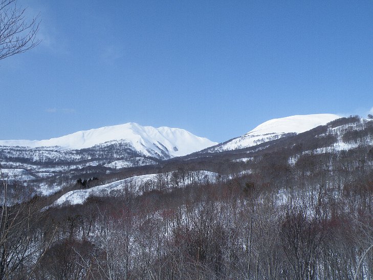 f0118332_21245487.jpg