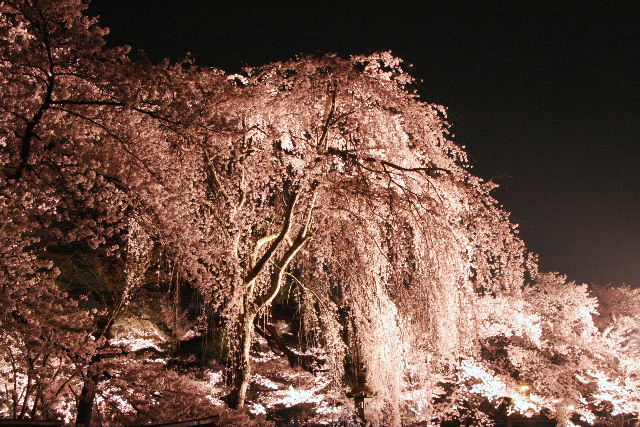 e0064133_2326408.jpg