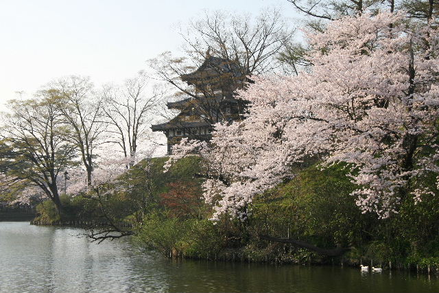 e0064133_2381957.jpg