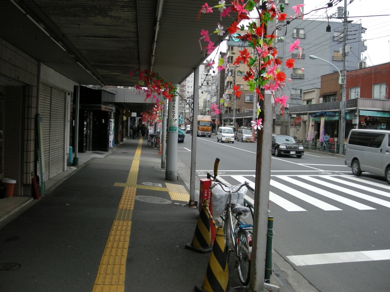 a0005234_2502359.jpg