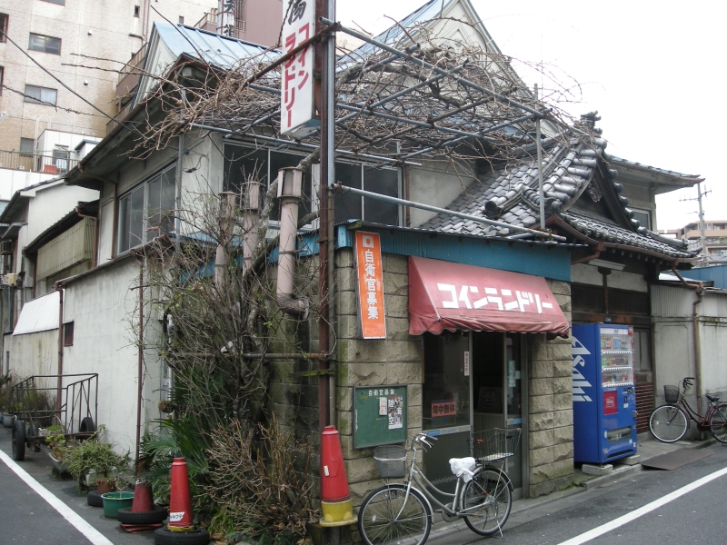 a0005234_253137.jpg