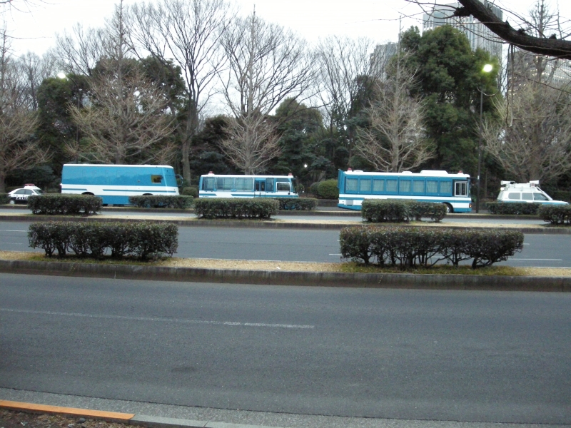 a0005234_3125842.jpg