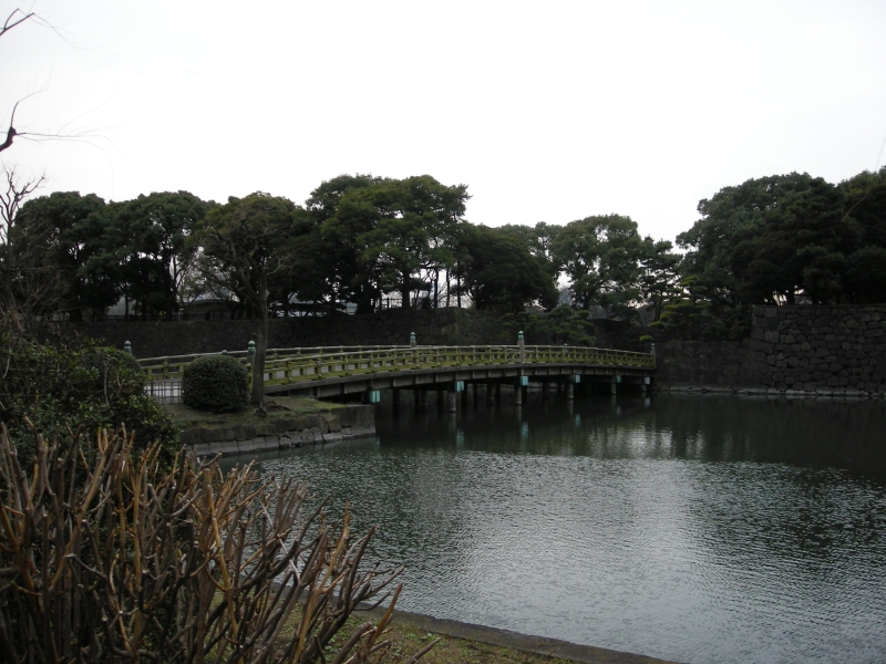 a0005234_365586.jpg