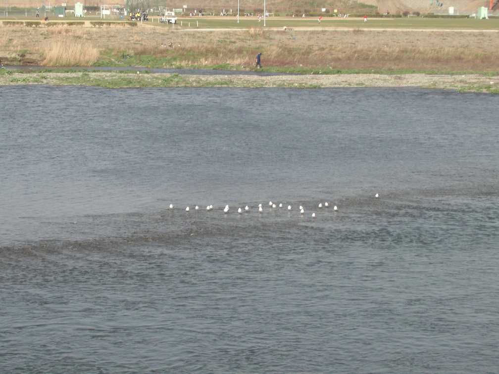 d0013834_10213721.jpg