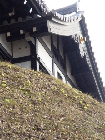 f0131535_18325179.jpg