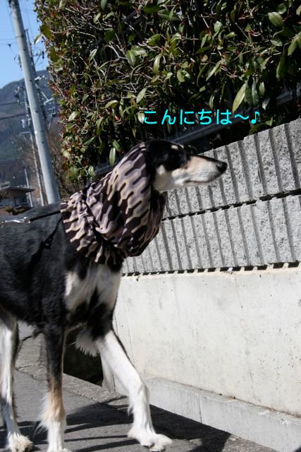 f0039538_20442012.jpg
