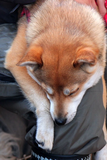 a0042044_1635138.jpg