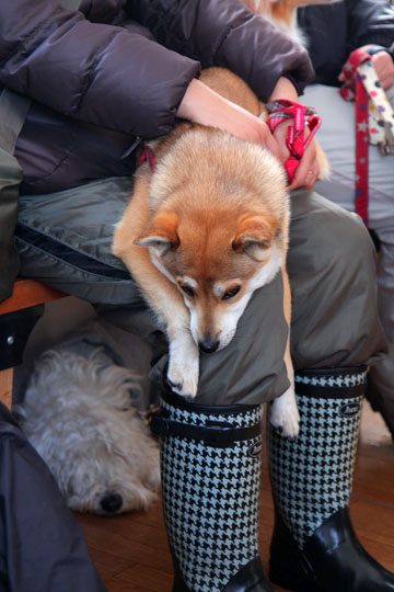 a0042044_1635347.jpg