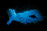 c0109447_2094486.jpg
