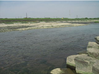 e0138350_105128.jpg
