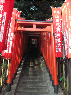 e0138350_842887.jpg