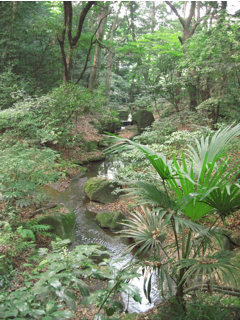 e0138350_8482615.jpg