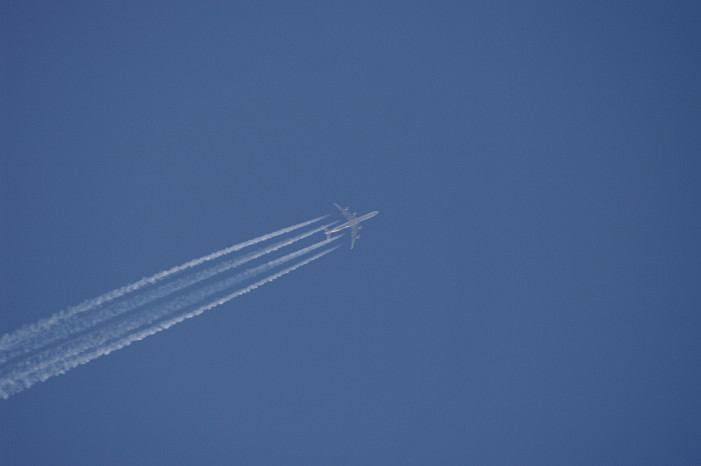 f0152550_21103785.jpg