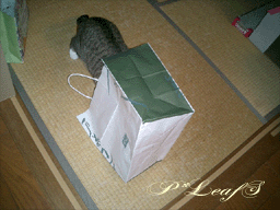 c0176651_2284263.gif
