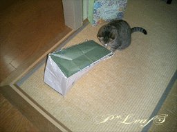 c0176651_2285121.gif