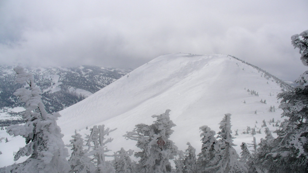 e0070552_1602770.jpg