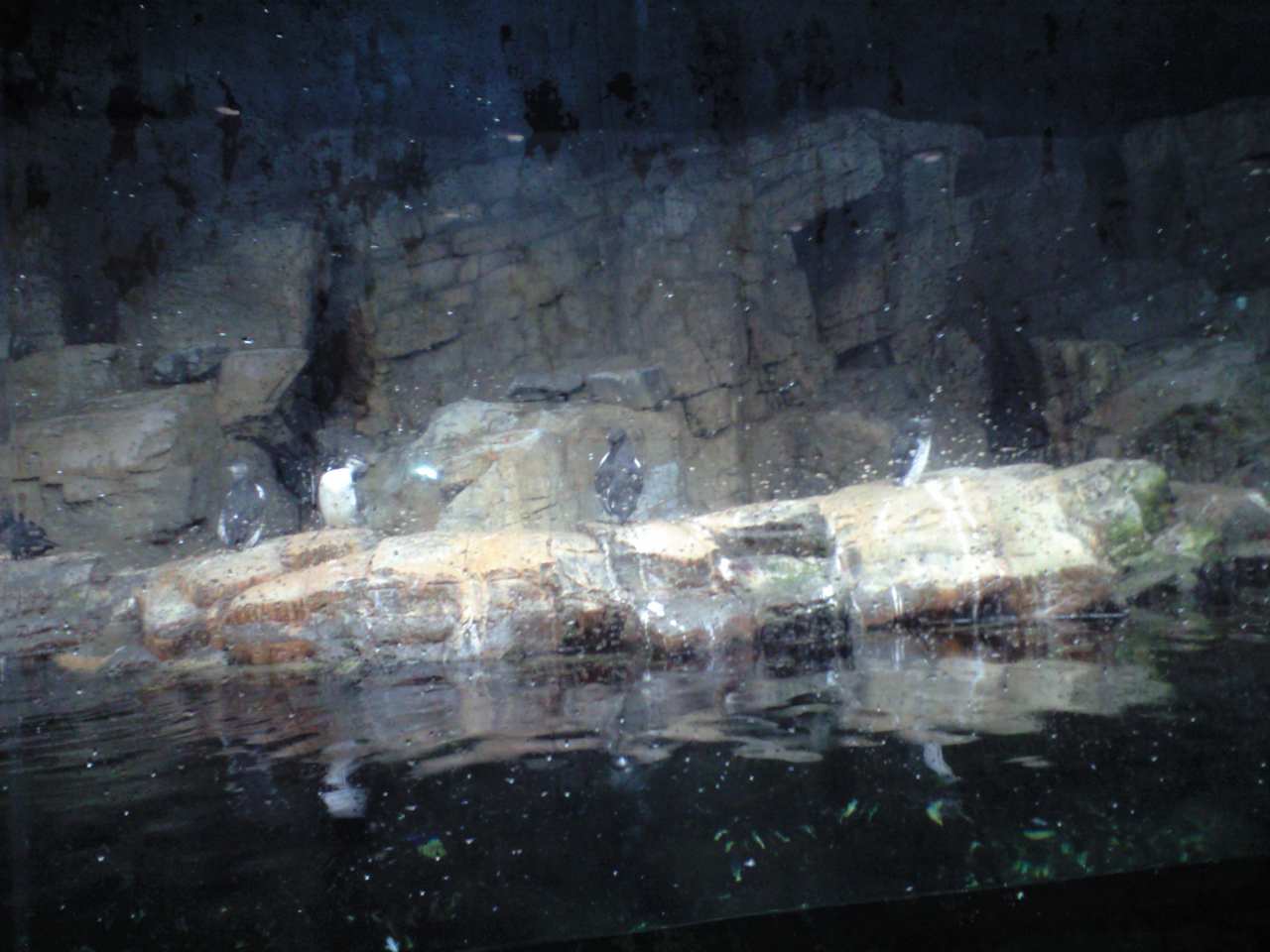 d0114253_13261121.jpg