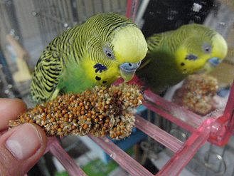 f0196665_23504211.jpg