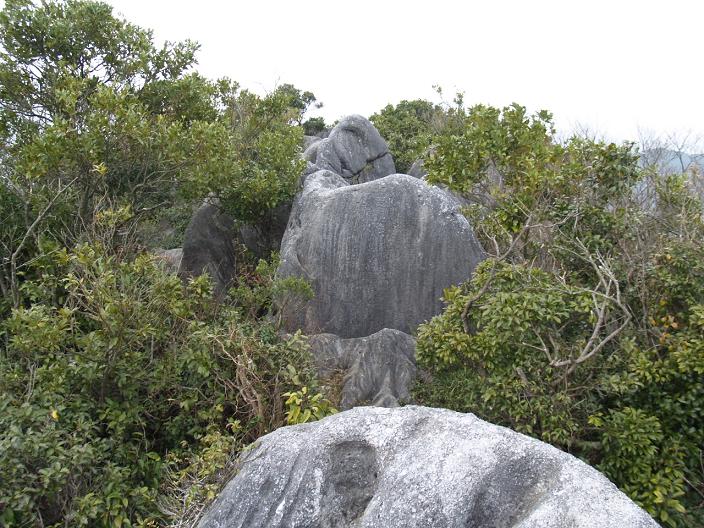 f0016066_1448435.jpg