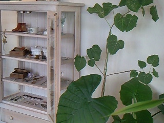 f0142668_520130.jpg
