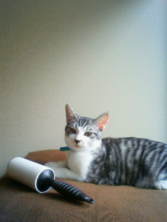 c0135480_0111853.jpg