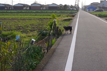 d0137083_9301135.jpg