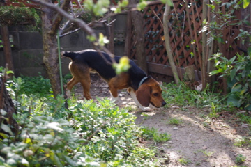 d0137083_9322695.jpg