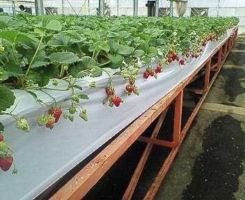 c0014187_04346100.jpg