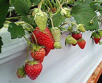 c0014187_046319.jpg