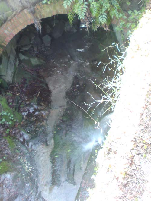 e0078187_2052448.jpg