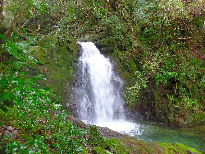b0177493_20191749.jpg