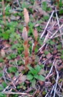 e0142193_1651574.jpg