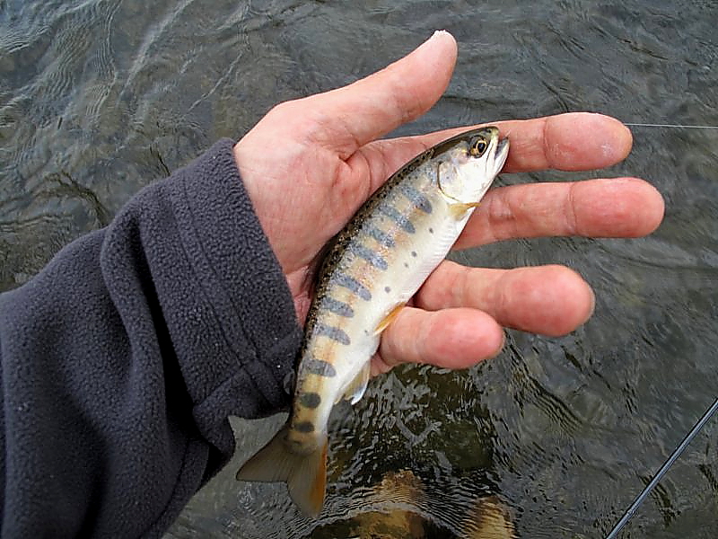 f0129994_13444566.jpg