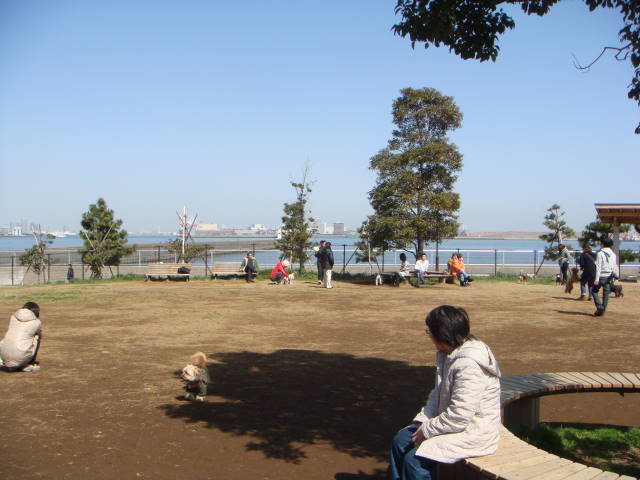 d0098295_22283482.jpg