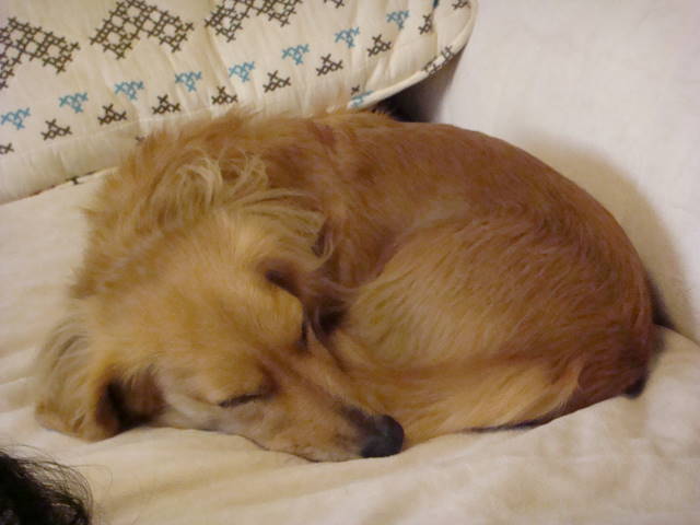 d0098295_22521039.jpg
