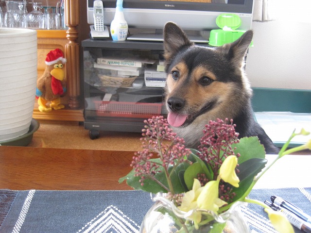 f0202703_2351848.jpg