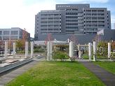 c0065804_1510341.jpg