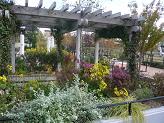 c0065804_15125977.jpg